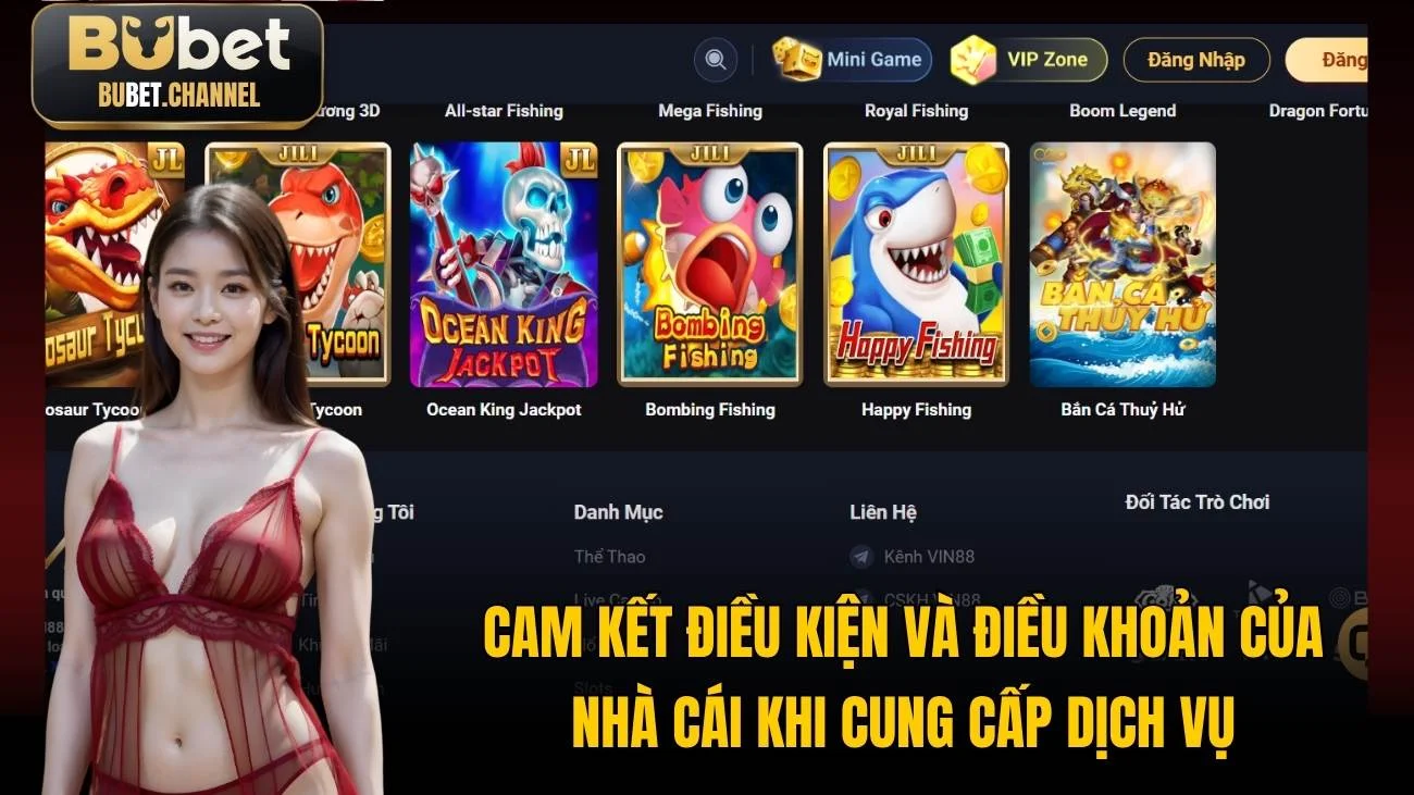 Cam kết điều kiện và điều khoản của nhà cái khi cung cấp dịch vụ