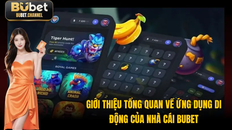 Tổng quan một số thông tin cần nắm được về ứng dụng nhà cái